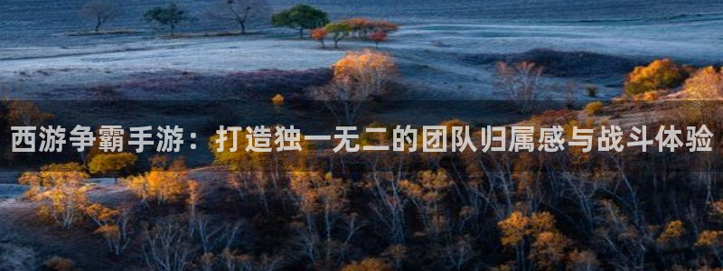 豪门国际杀组合