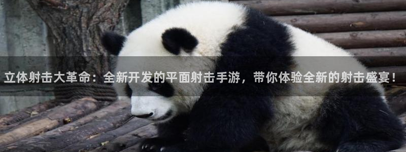 28大神官网预测