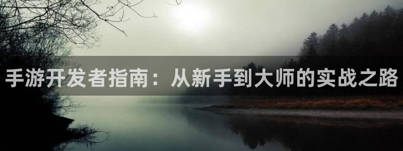 豪门国际开奖历史：手游开发者指南：从新手到大师的实战之路