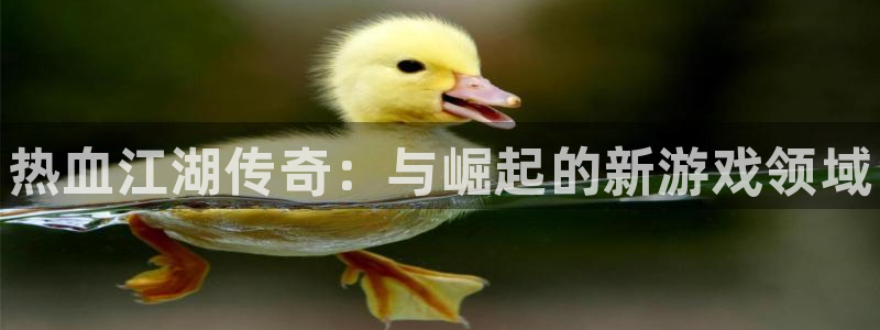 豪门国际手机版下载