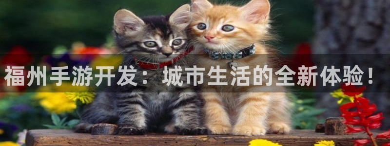 豪门国际吧：福州手游开发：城市生活的全新体验！