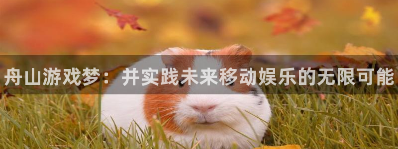 豪门国际网页开不了怎么回事