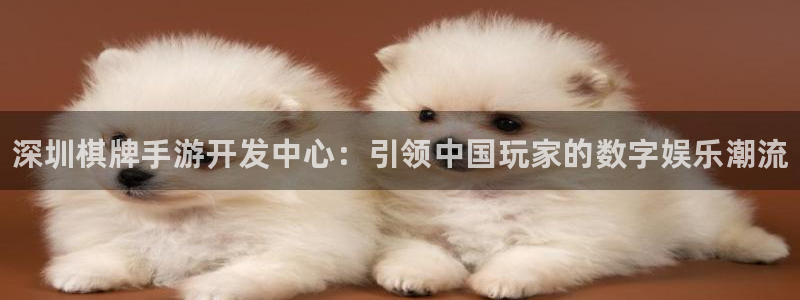 28大神开奖预测：深圳棋牌手游开发中心：引领中国玩家的数字娱