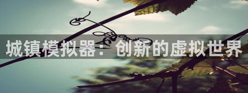 28大神预测群号码：城镇模拟器：创新的虚拟世界