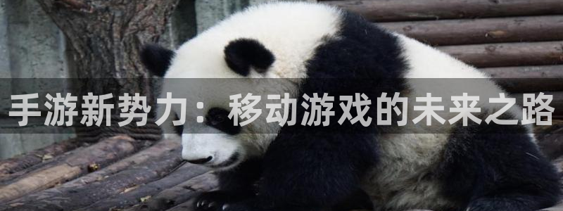 28大神在线预测：手游新势力：移动游戏的未来之路