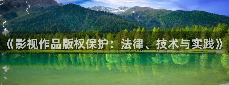 七七七米奇影院：《影视作品版权保护：法律、技术与实践》
