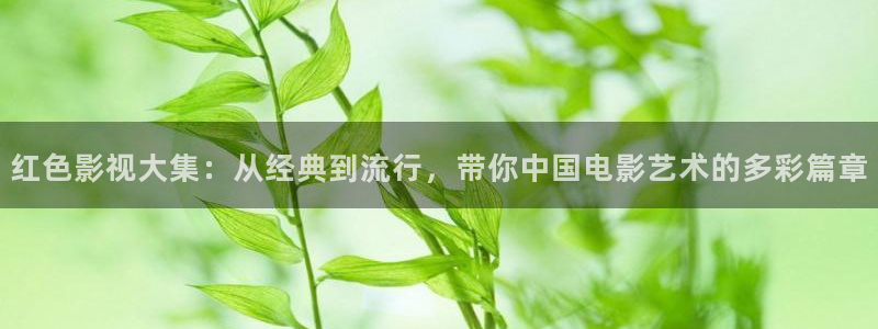 米奇影视 777：红色影视大集：从经典到流行，带你中国电影艺术的多彩篇章