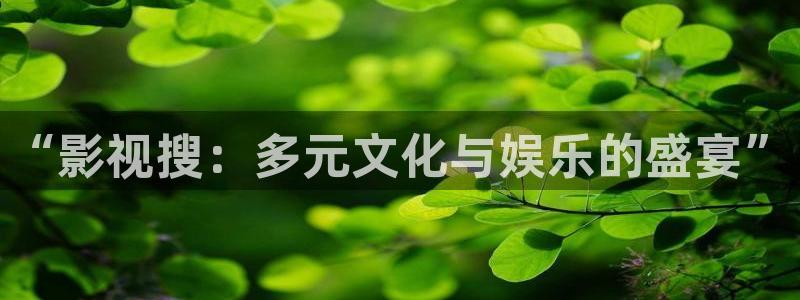 777第四米奇影院：“影视搜：多元文化与娱乐的盛宴”