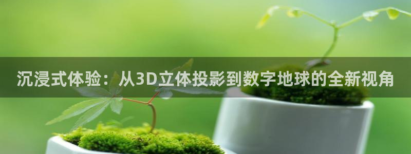 米奇影视四色777：沉浸式体验：从3D立体投影到数字地球的全新视角