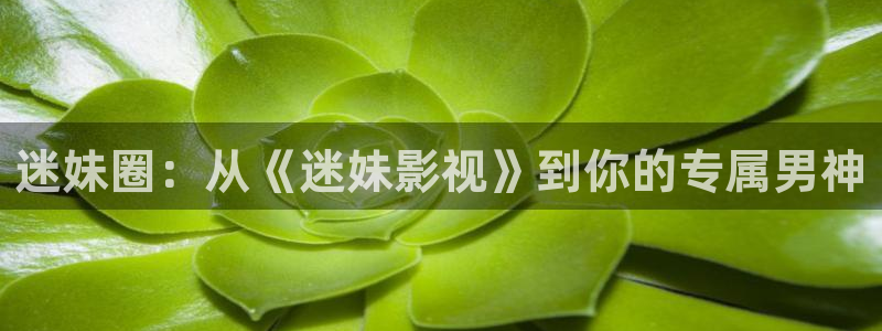 米奇影院888奇米色99在线：迷妹圈：从《迷妹影视》到你的专属男神