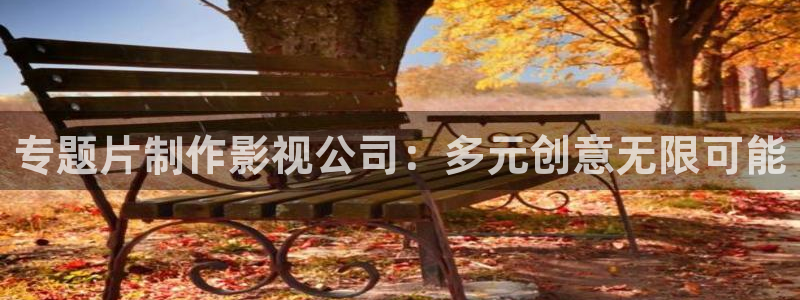 米奇影院888四色在线看：专题片制作影视公司：多元创意无限可能